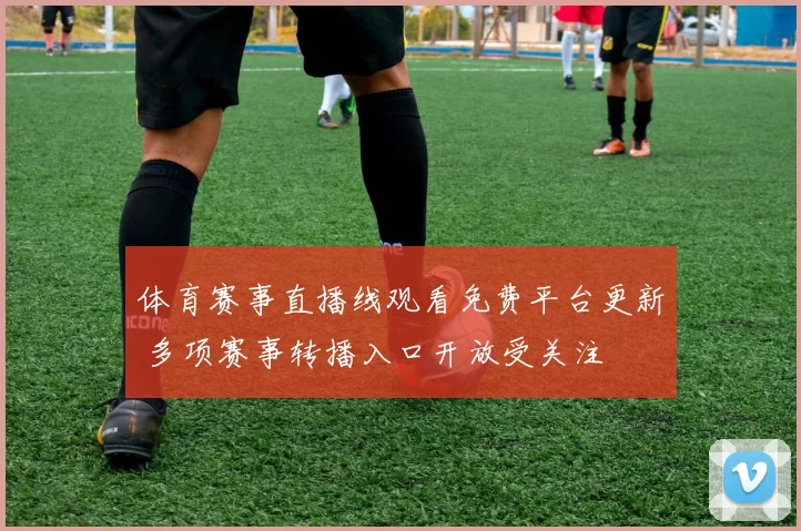 体育赛事直播线观看免费平台更新 多项赛事转播入口开放受关注