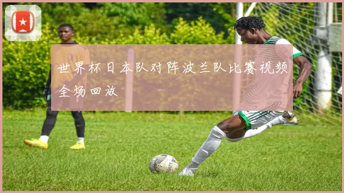 世界杯日本队对阵波兰队比赛视频全场回放