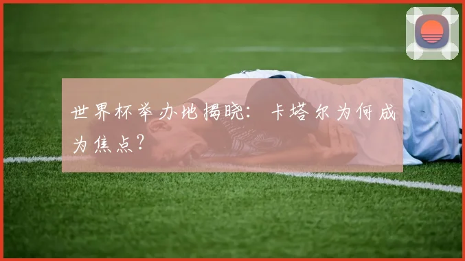 世界杯举办地揭晓：卡塔尔为何成为焦点？